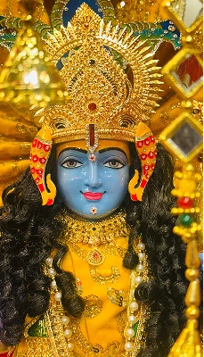 Triveni Moorti Kalakendra diary